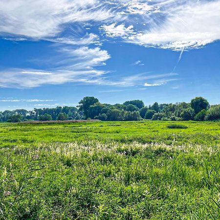 Haffblick Wohnung 60 Boltenhagen  Luaran gambar